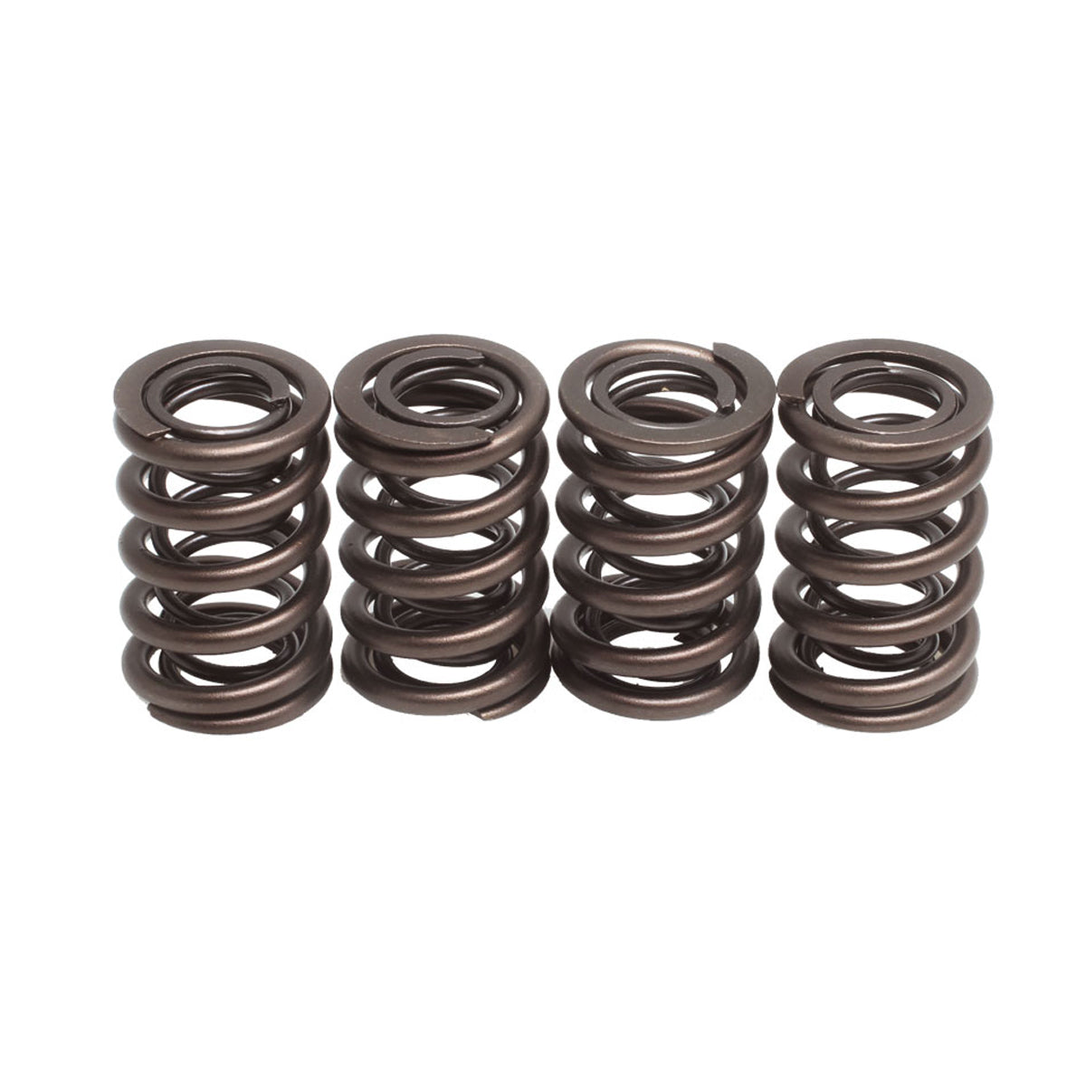 Spring Only Kit, .480 Lift, Suzuki, GS 425 / 450 Twin