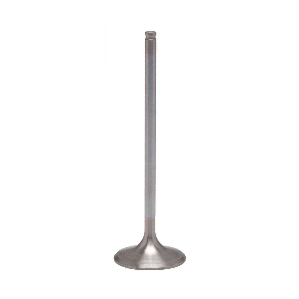 Valve, White Diamond® Stainless, Exhaust, Various Suzuki® Applications