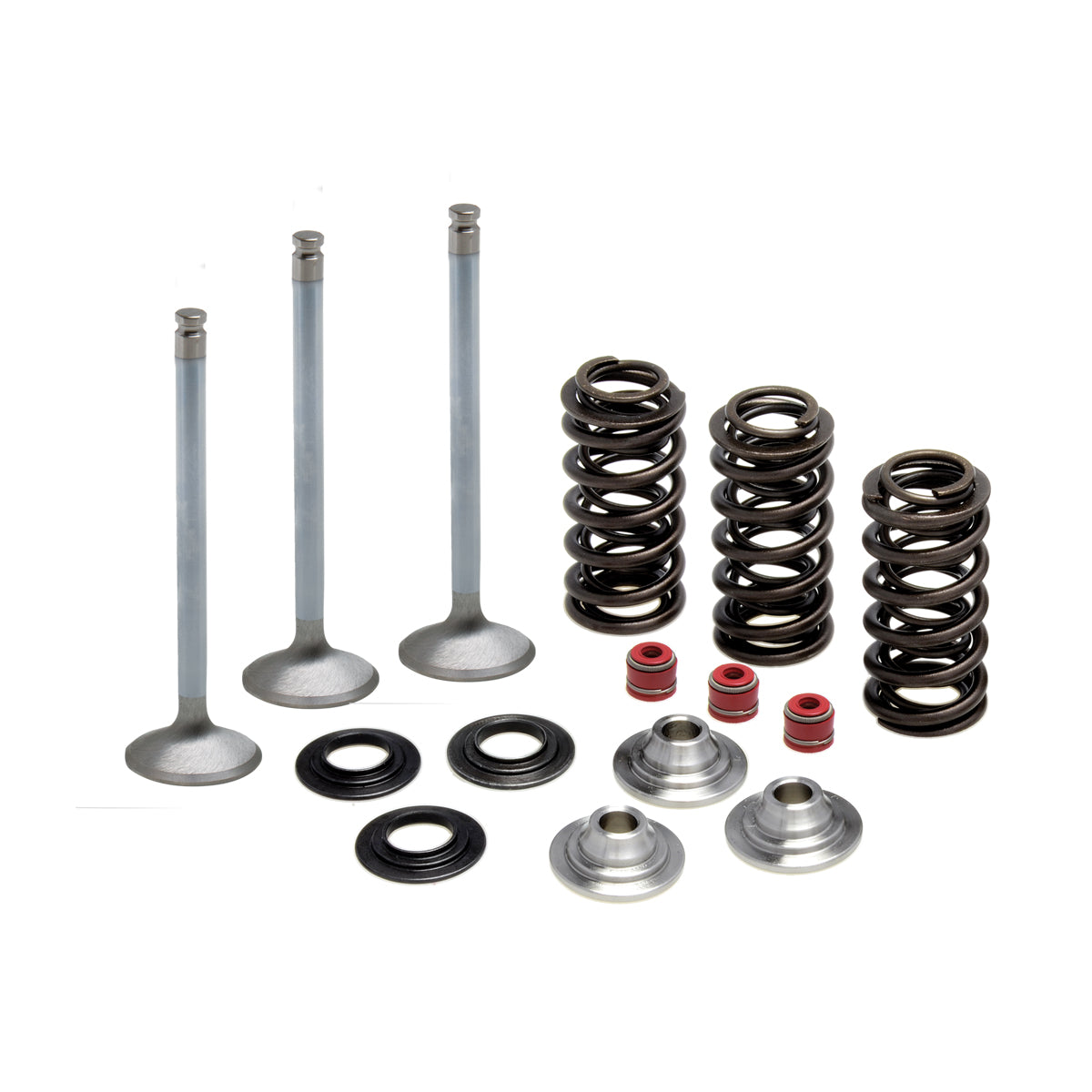 Intake Only Spring Kit, Titanium, 0.380" Lift, Various Yamaha® Applications