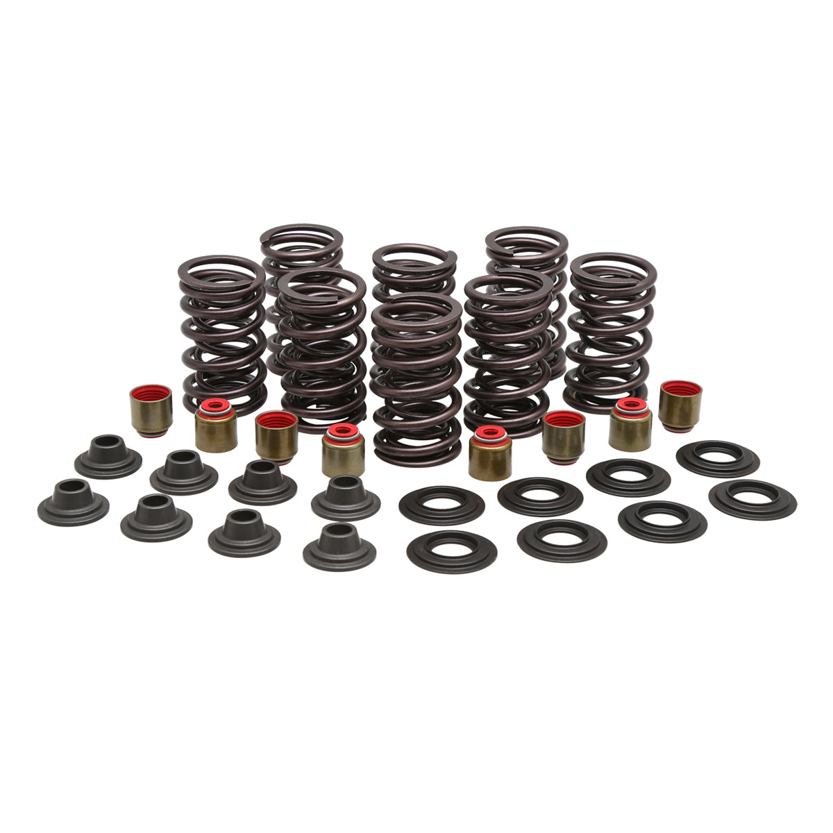 Racing Spring Kit, 0.450" Lift, Seat 64#, Indian®, Scout™ 4V 1200's, 2015-2024