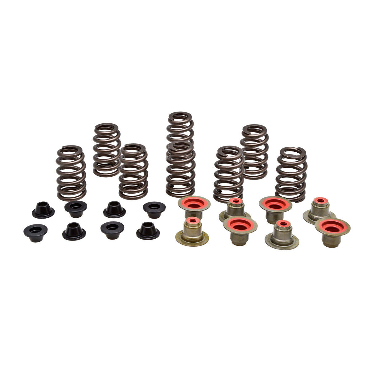 Beehive Spring Kit, H.T. Steel, 0.435" Lift, Indian®, Scout™ 4V 1200's, 2015-2024