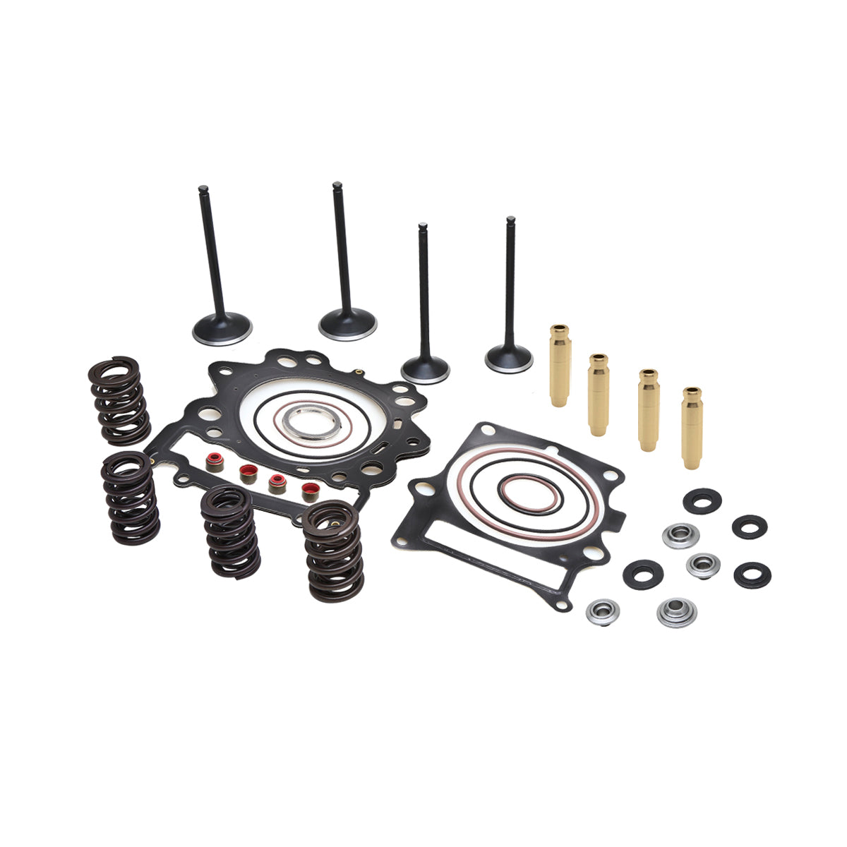 Cylinder Head Service Kit, 0.480" Lift, Yamaha®, Various 700's, 2006-2025