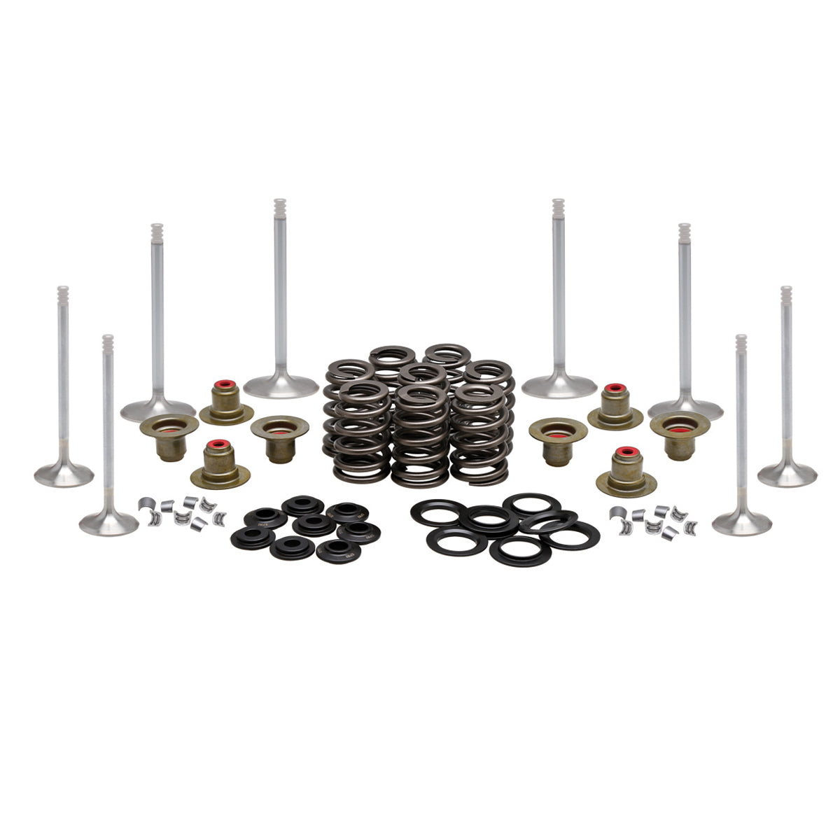 Engine Kit, Steel, 0.465" Lift, HD®, M8™ (& CVO’s*) 2017-2025