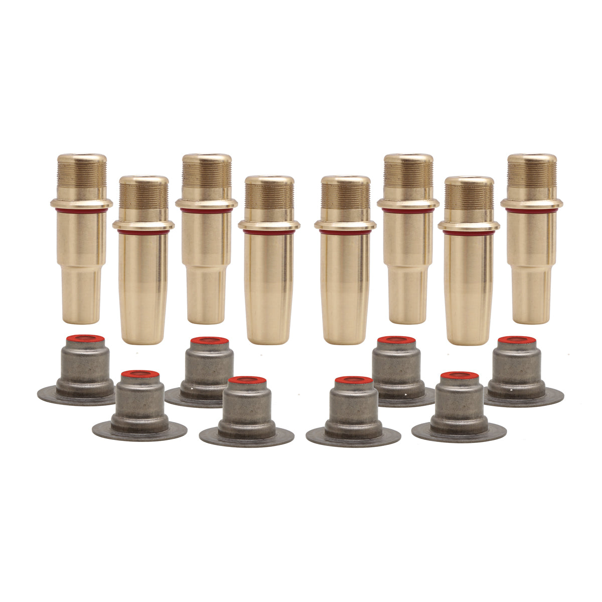 Valve Guide Kit, Mng. Brz., HD®, M8™ (& CVO’s) 2017-2025 – KPMI