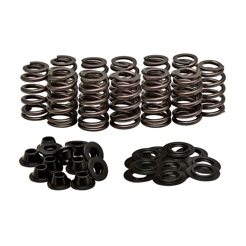 Beehive Spring Kit, H.T. Steel, In. 0.410
