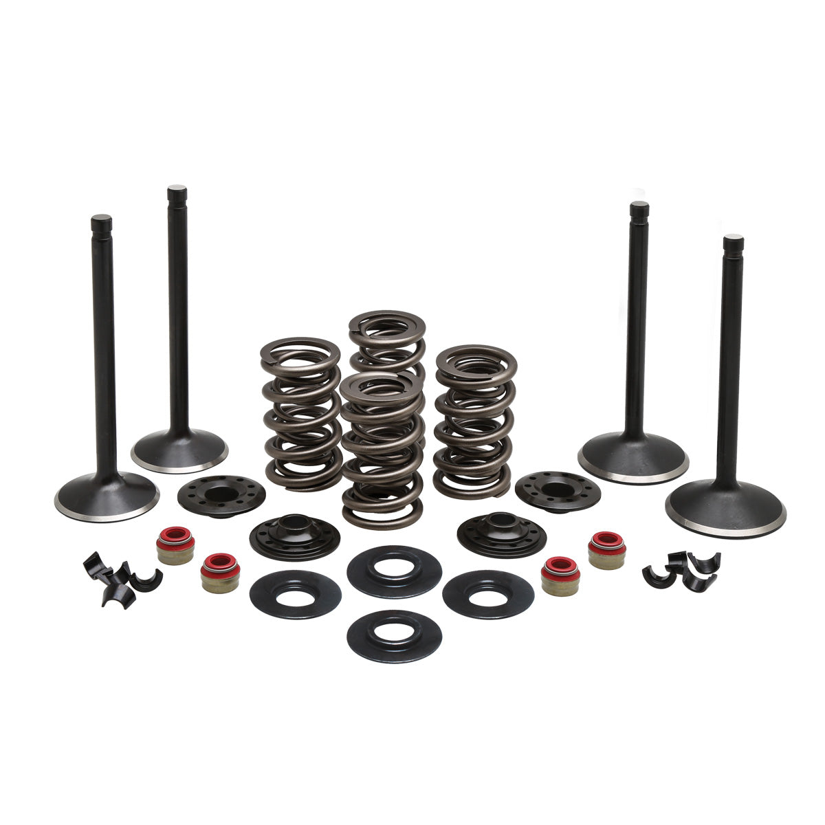 Engine Kit, Steel, 0.600" Lift, HD®, Twin Cam 88", 1999-2004