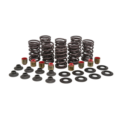 Turbo Spring Kit, 0.450" Lift, Seat 65#, Polaris®, Various 900/1000’s, 2013-2023