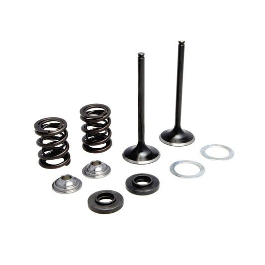 Intake Only Spring Kit, Titanium, 0.435" Lift, Various KTM® Applications