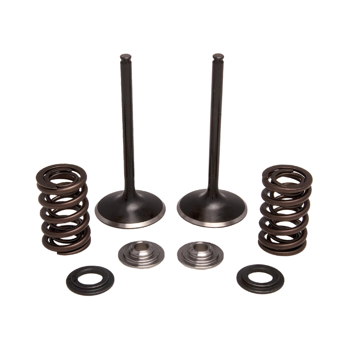 Intake Only Spring Kit, Titanium, 0.440