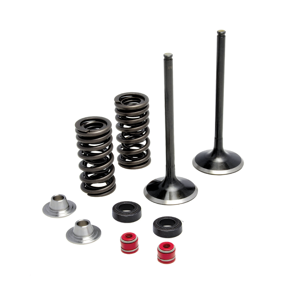 Spring Intake Arrangement Intake Only Spring Kit, Titanium, 0.380