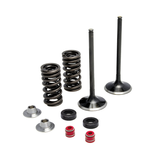 Intake Only Spring Kit, Titanium, 0.350" Lift, Various Honda® Applications