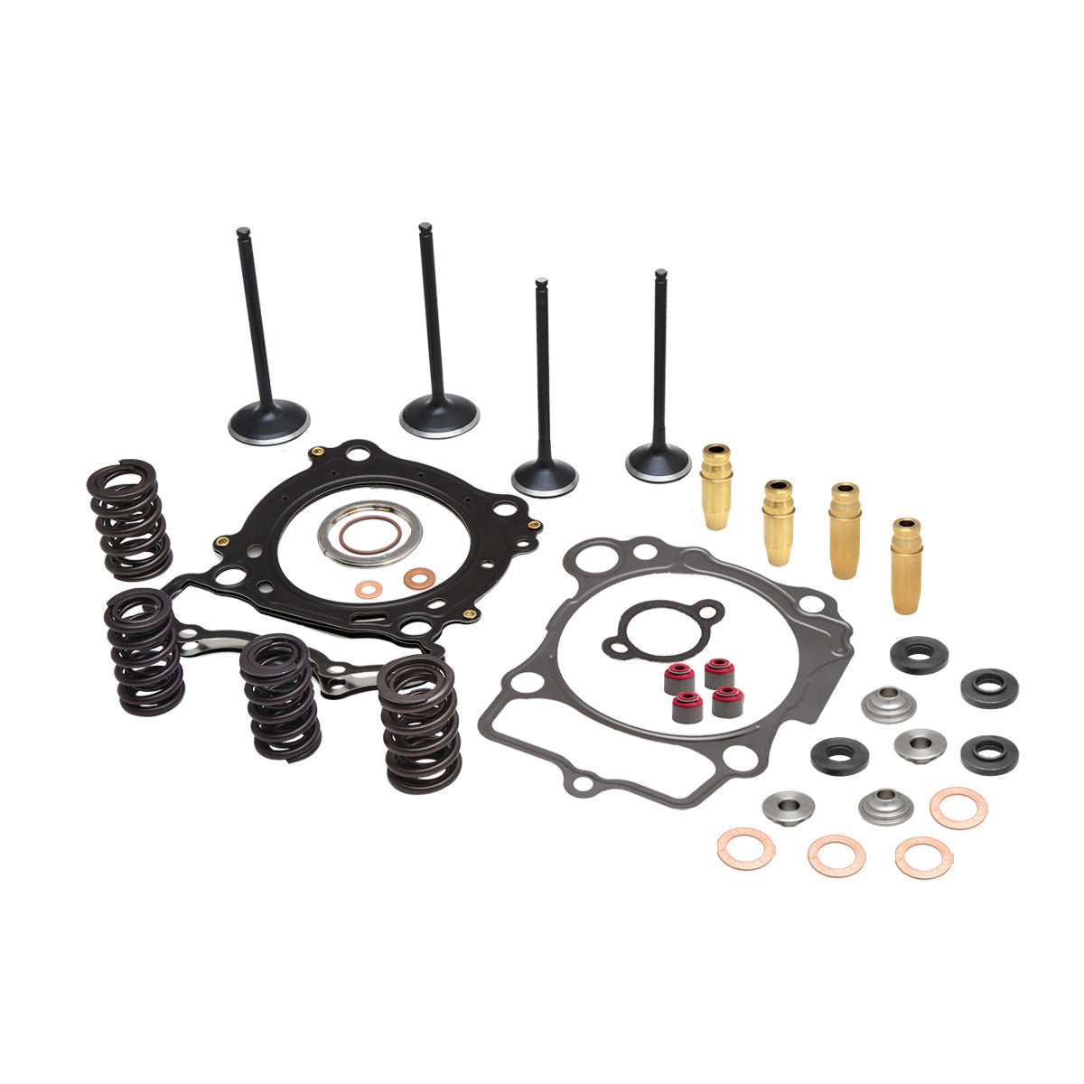 Ktm Rfs 400 KTM® All RFS Engines 400-560cc 2000-2009 – KPMI