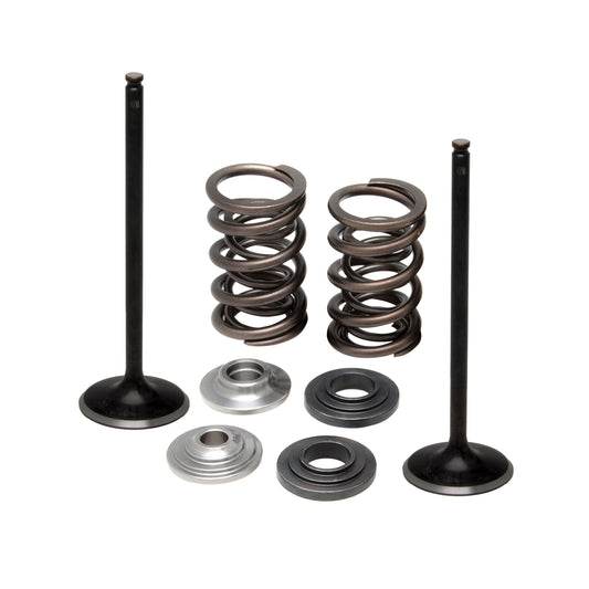 Intake Only Spring Kit, Titanium, 0.425" Lift, Various KTM® Applications
