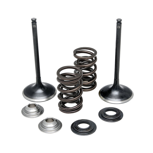 Spring Intake Arrangement Intake Only Spring Kits – Page 2 – KPMI