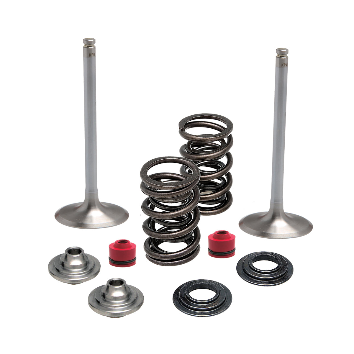 Spring Intake Arrangement Intake Only Spring Kit, Titanium, 0.445