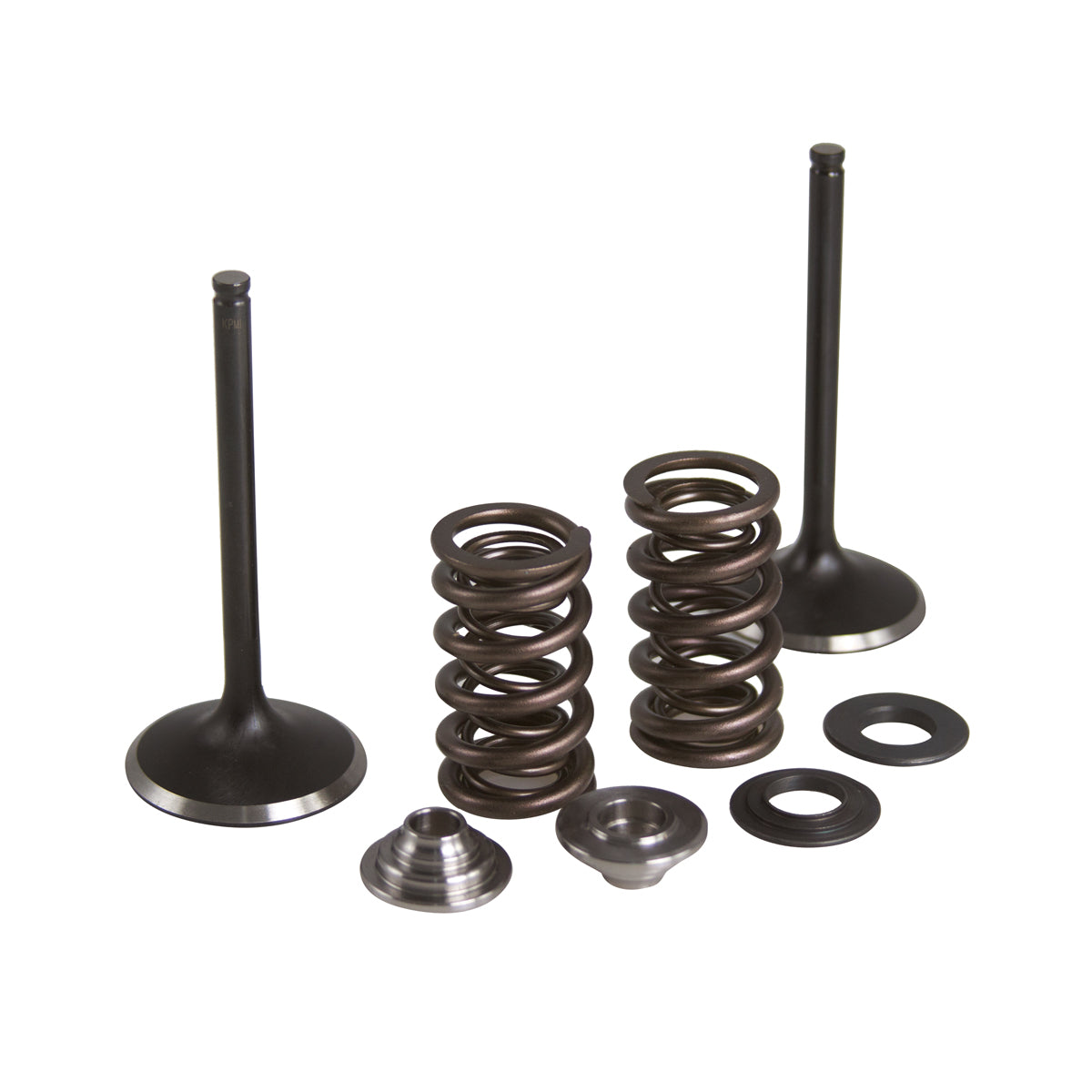 420 Spring Intake Only Spring Kit, Titanium, 0.420